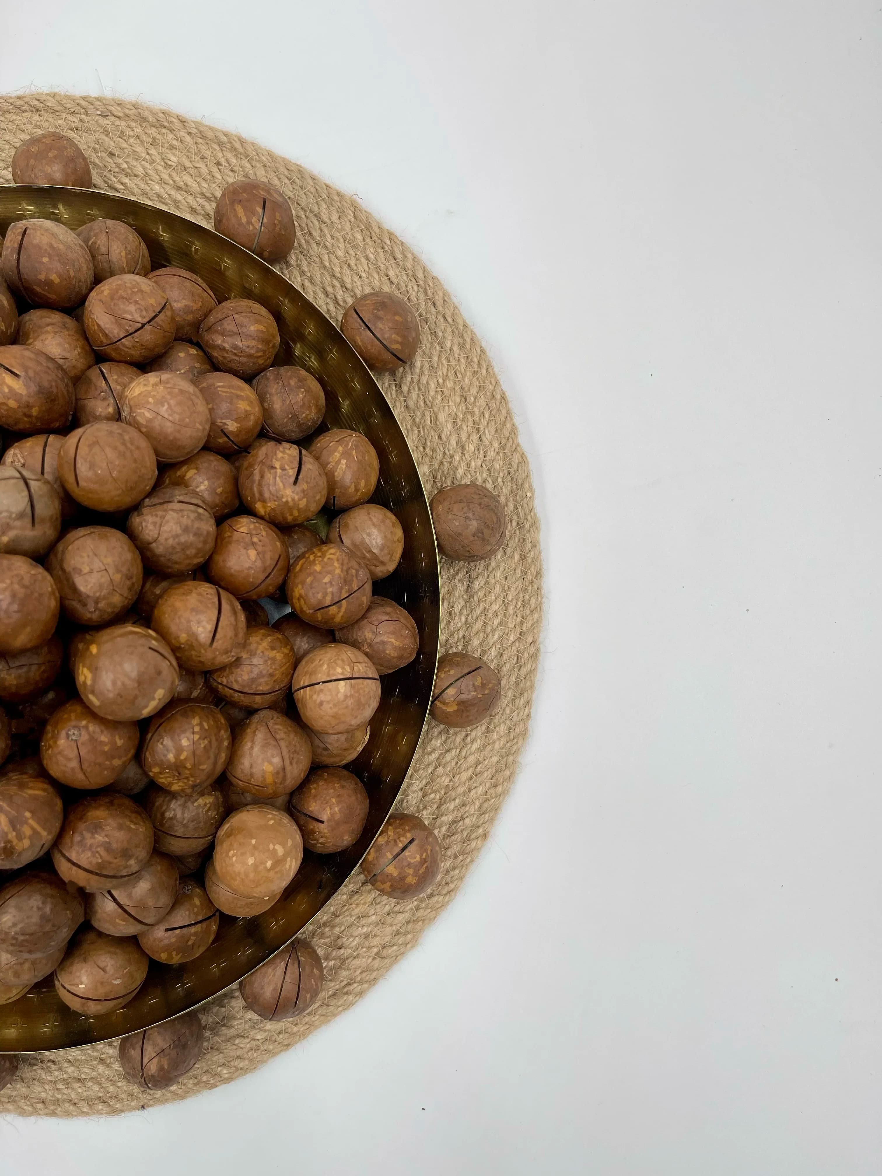 In-Shell Macadamia Nuts thumbnail 10
