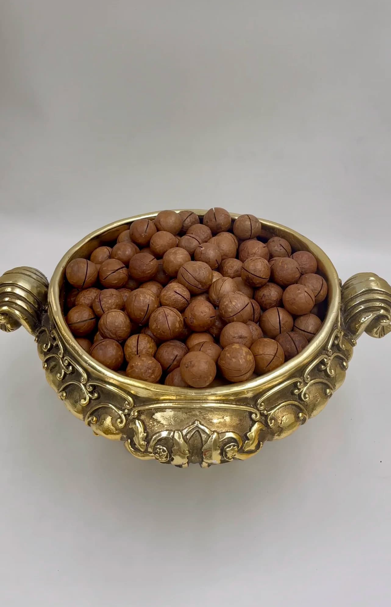 In-Shell Macadamia Nuts thumbnail 11