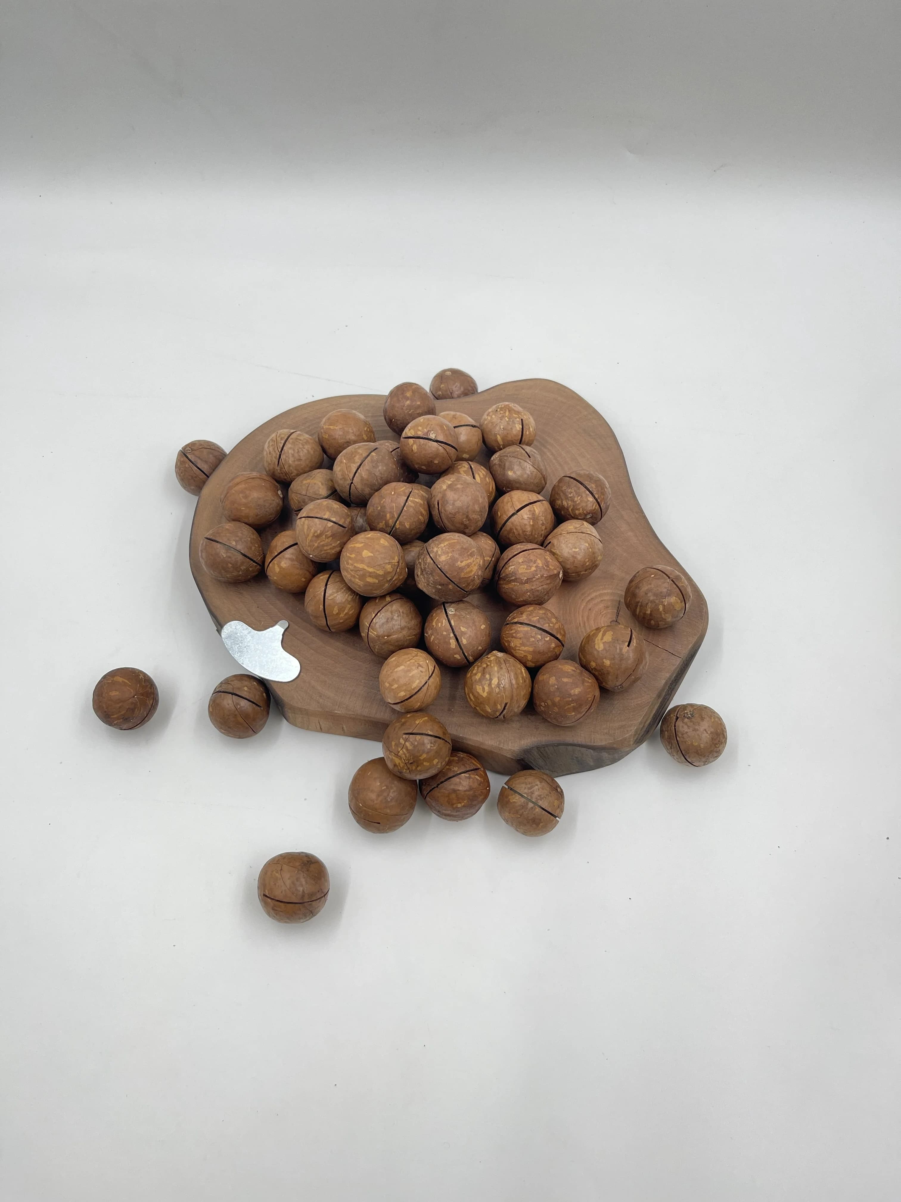 In-Shell Macadamia Nuts thumbnail 4