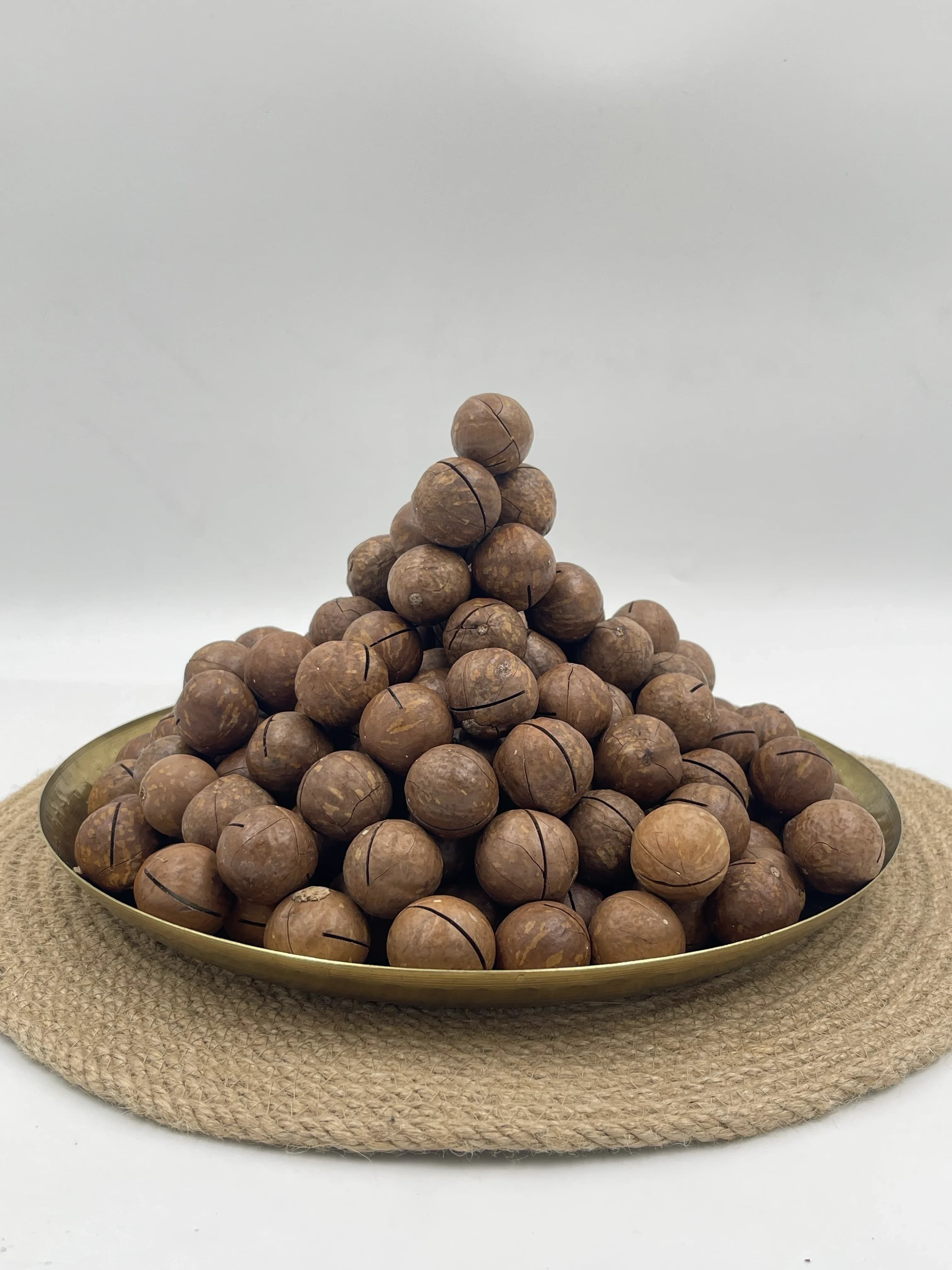 In-Shell Macadamia Nuts thumbnail 8