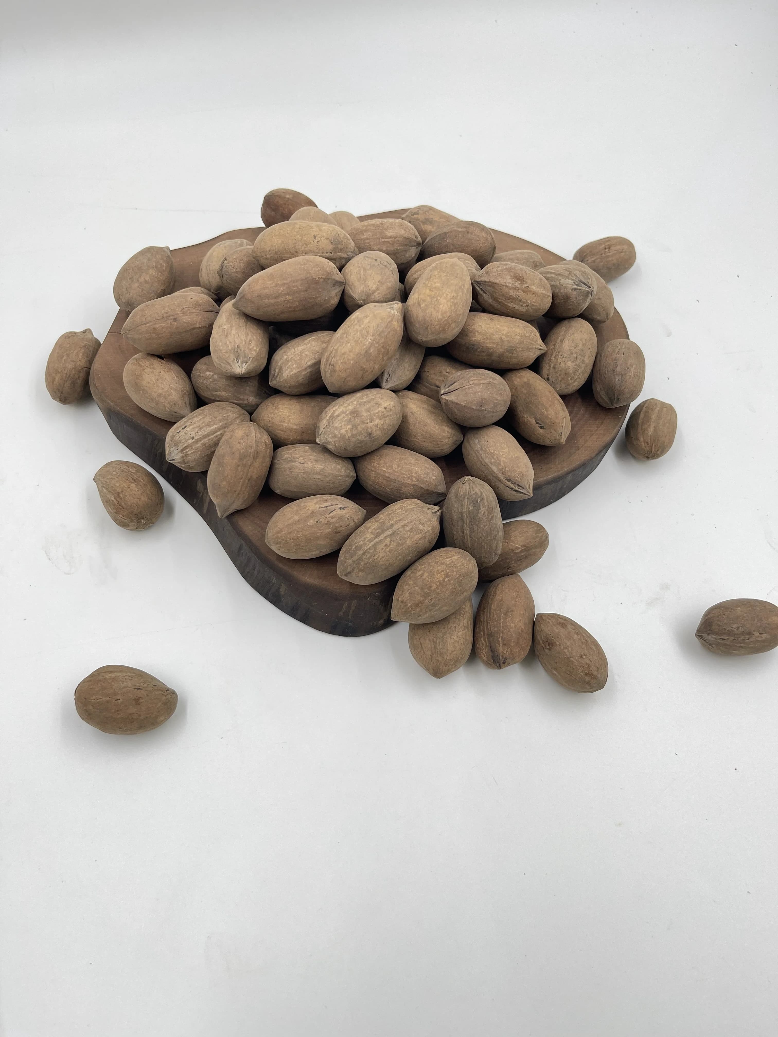In-Shell Pecan Nuts thumbnail 3